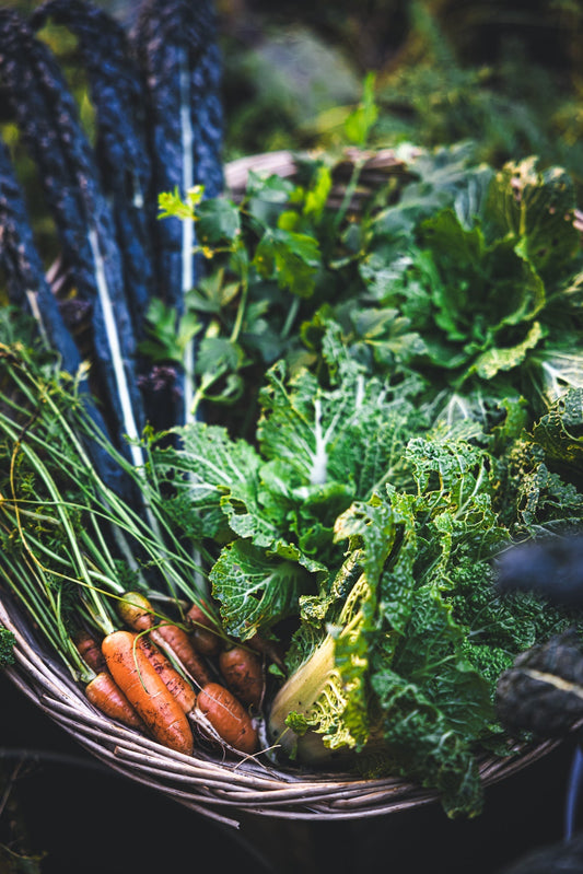 Urban Gardener's Journal - February 2025 tips