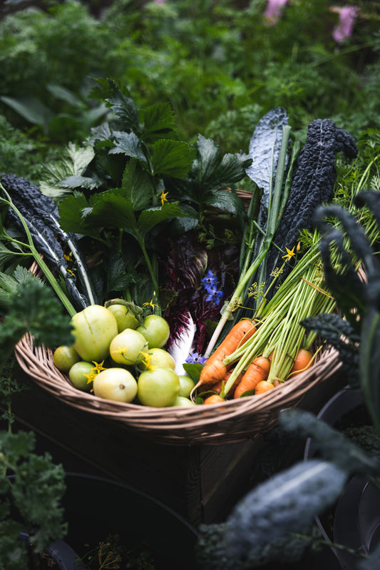 October harvests from our backyard garden in Amstelveen