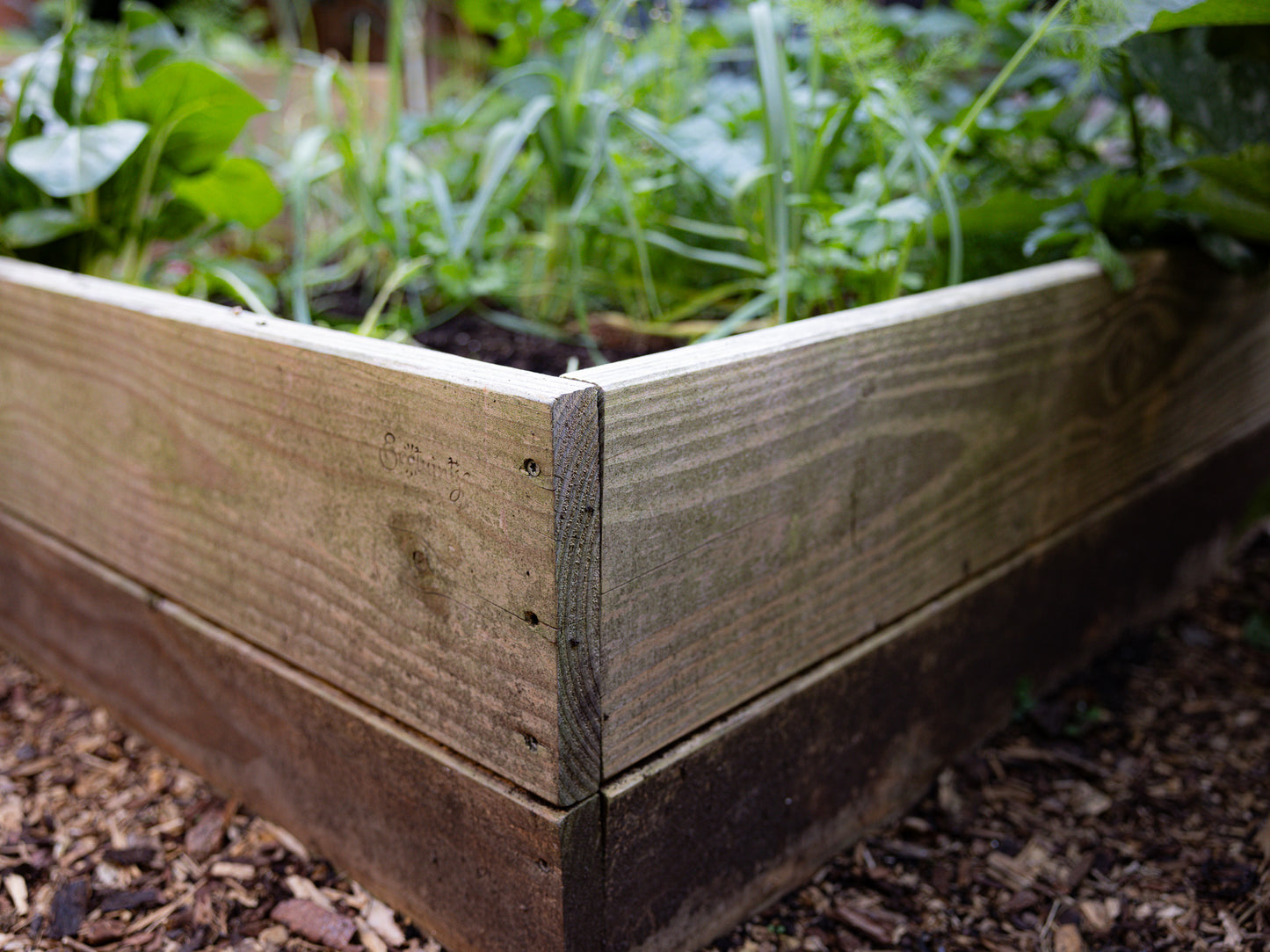 Sustainable vegetable garden box 120cm × 60cm