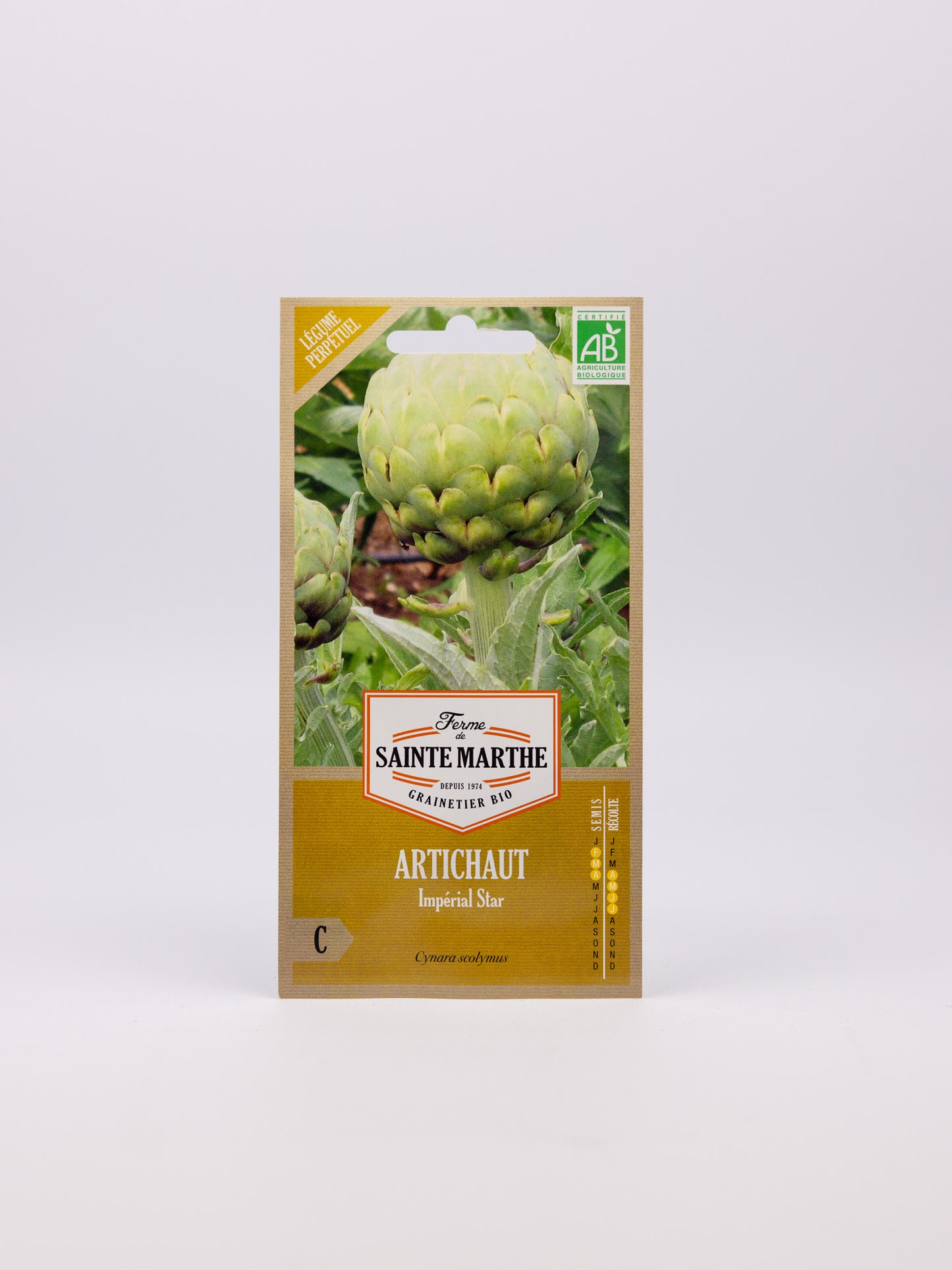 Artichoke - Imperial Star