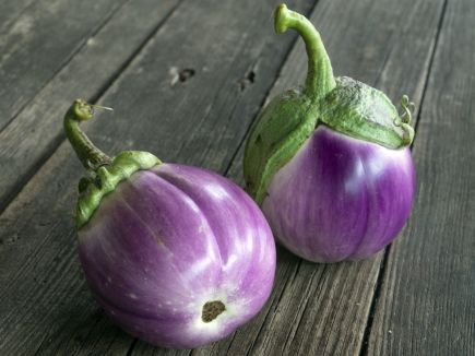 Aubergine - Freiland Lea