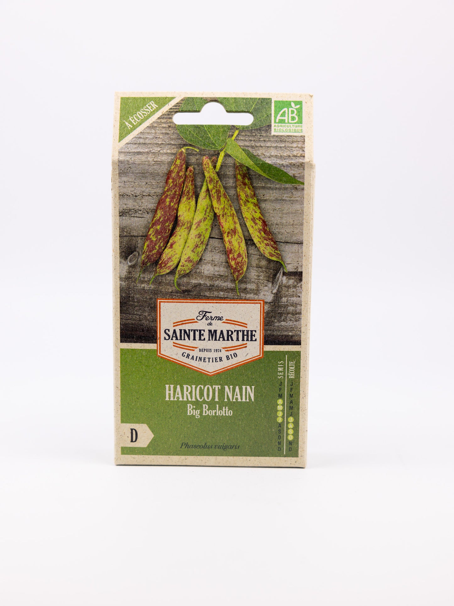 Borlotto Beans (dwarf/bush variety)