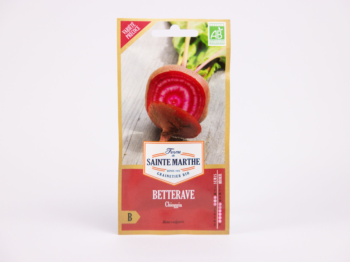 Chioggia Beetroot