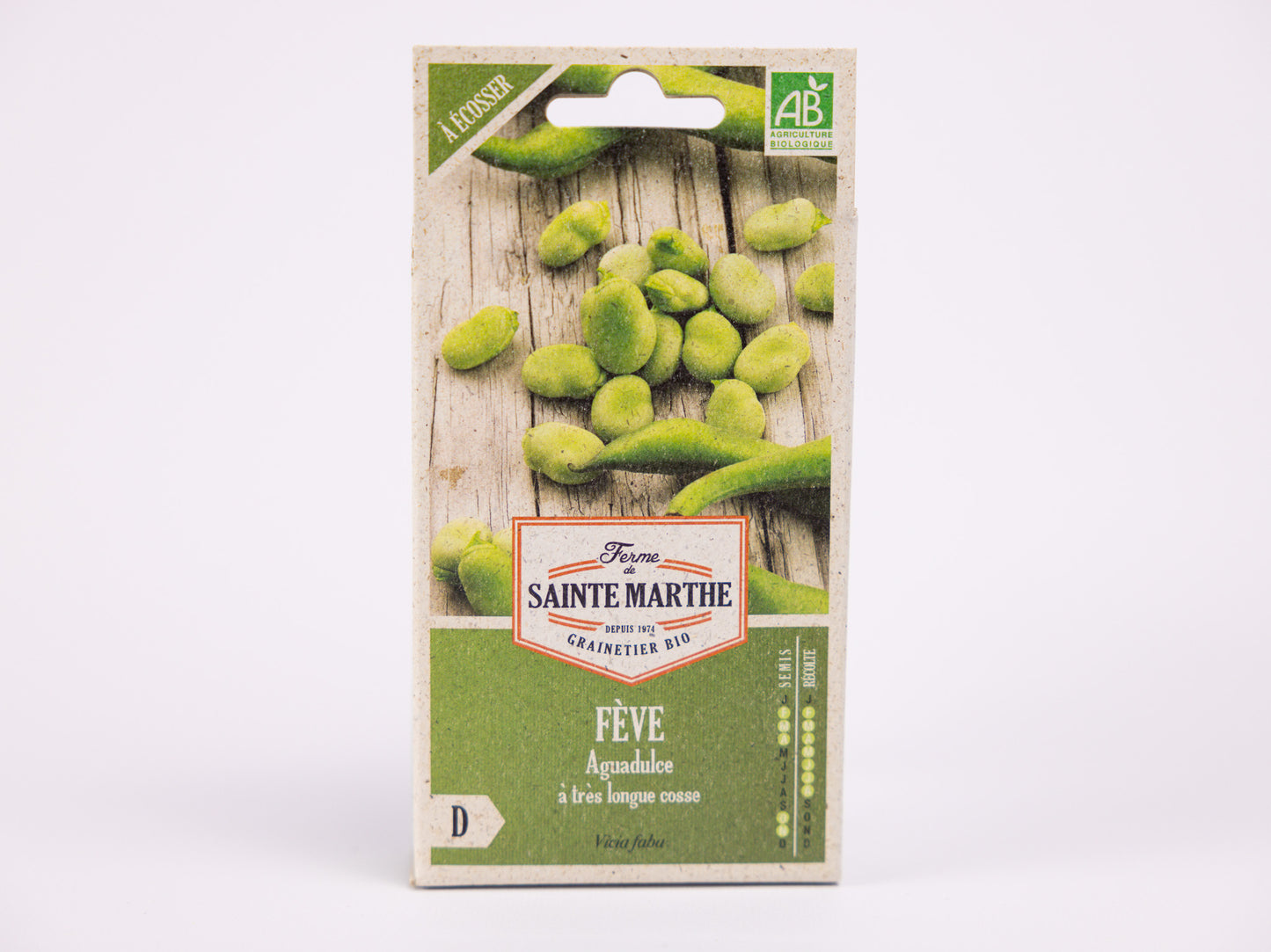 Aguadulce Broad Bean