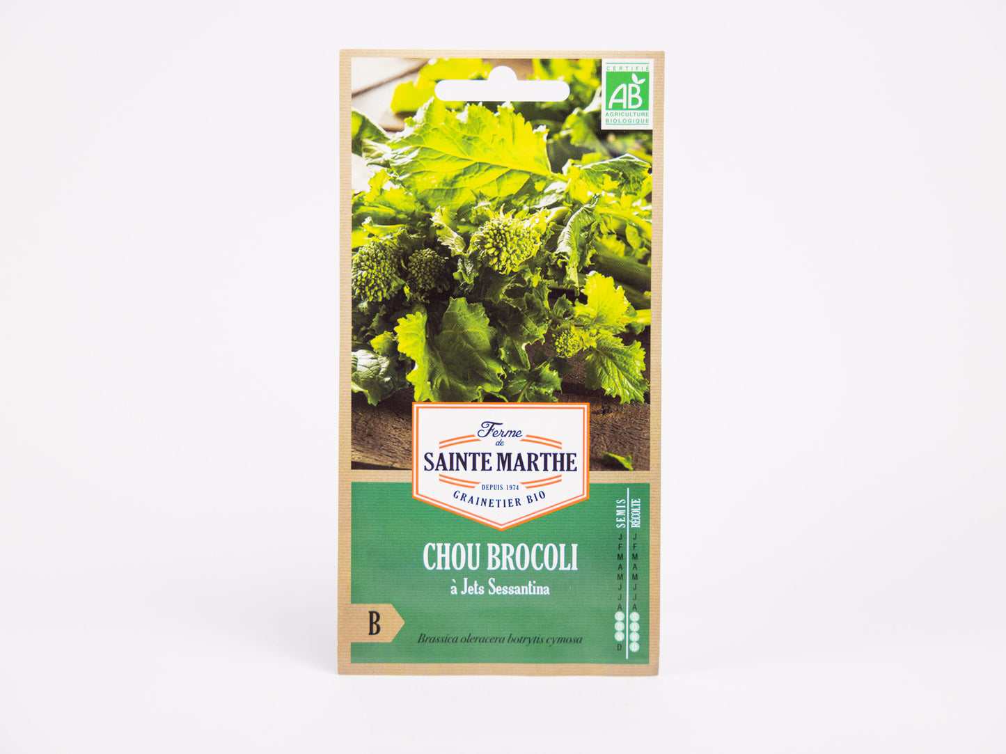 Broccoli (Shooting) - Sessantina