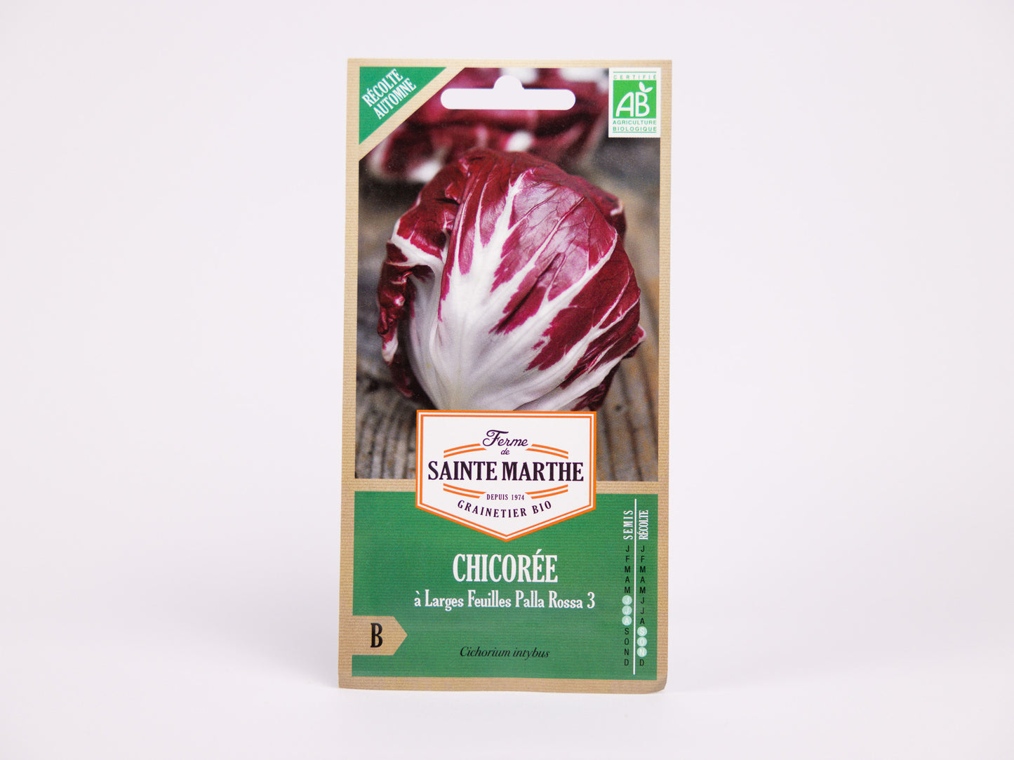 Chicory Palla Rossa