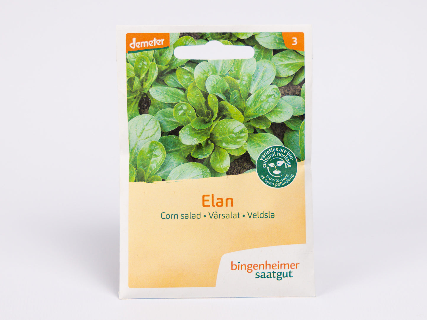 Corn Salad Elan