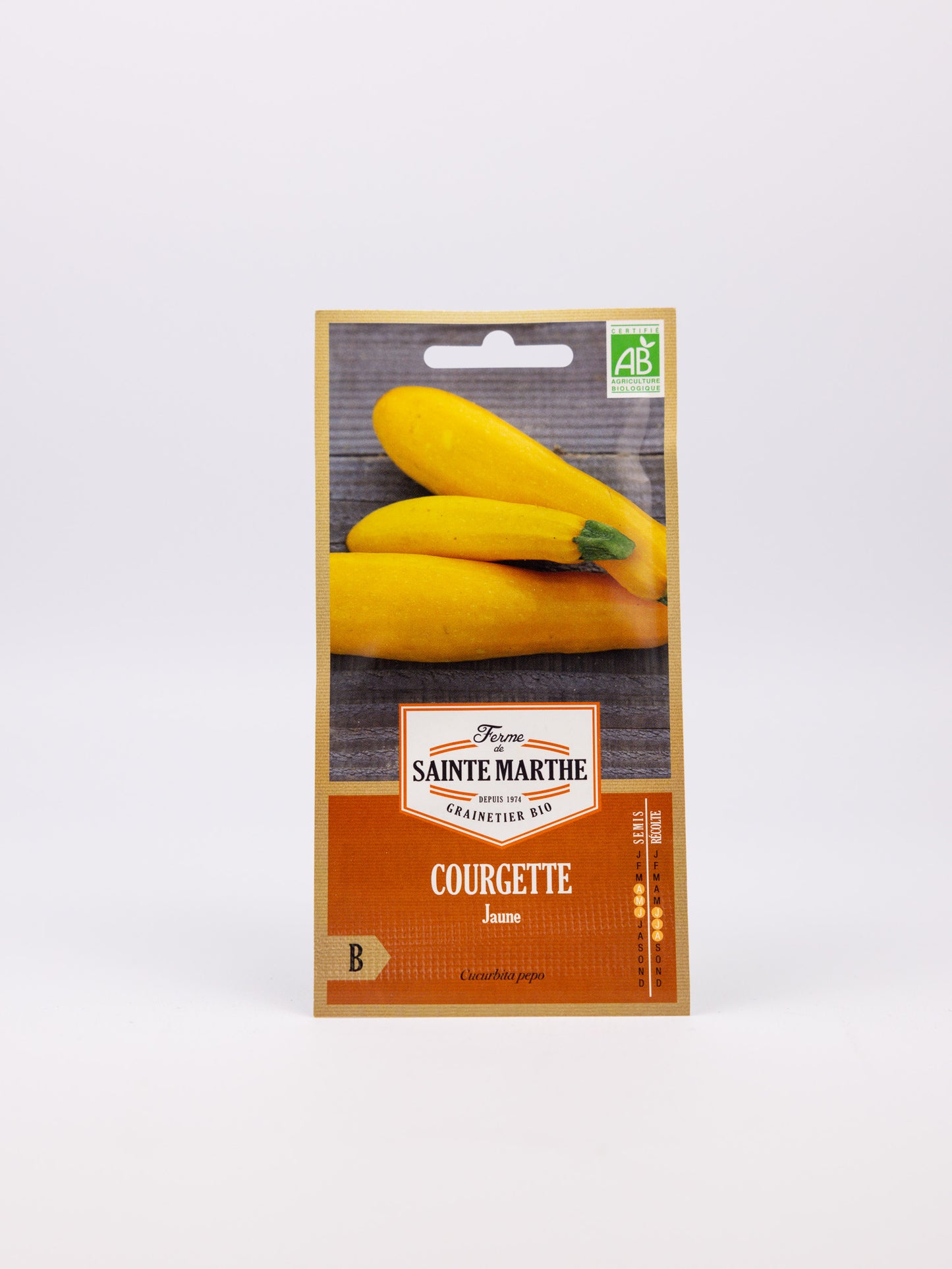 Yellow Courgette