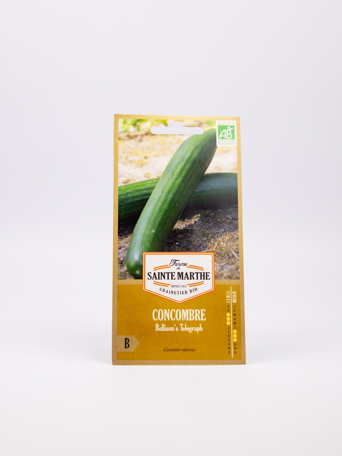 Cucumber Telegraph