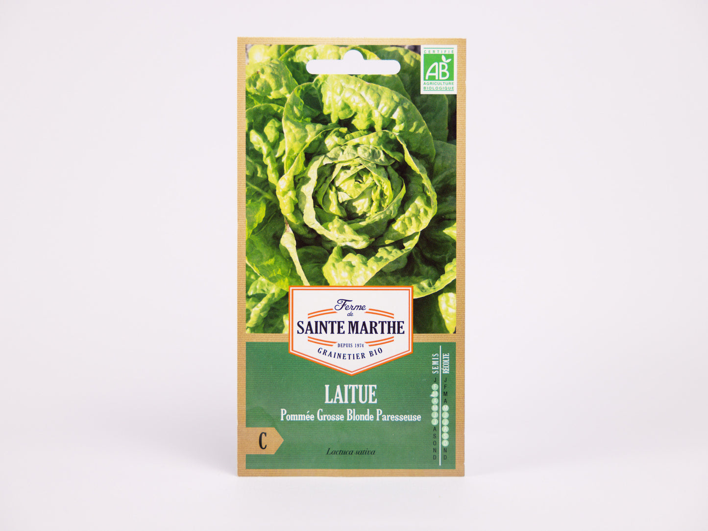 Grosse Blonde Paresseuse Lettuce