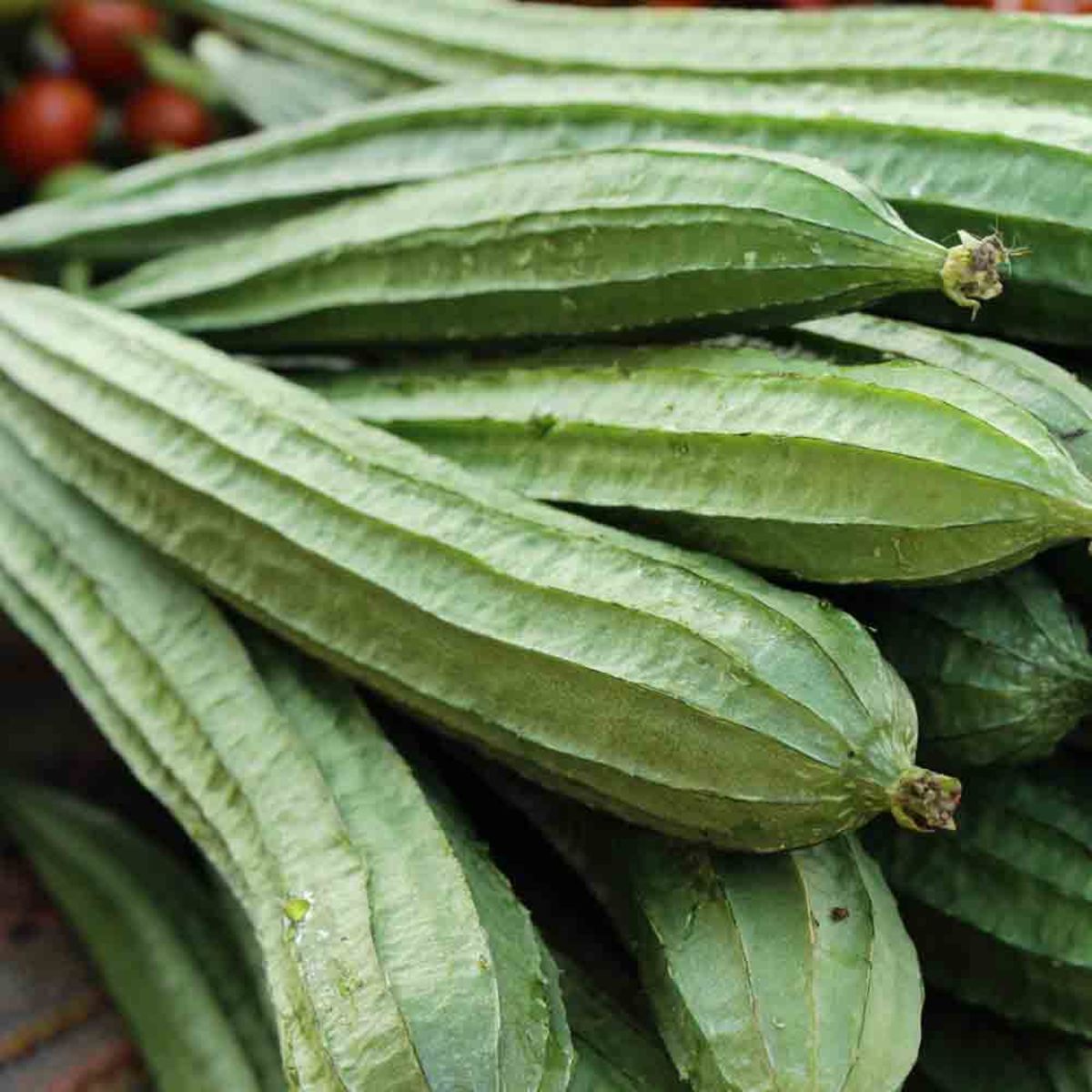 Luffa (edible or sponge)