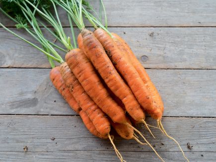 Carrot - Nantaise Milan