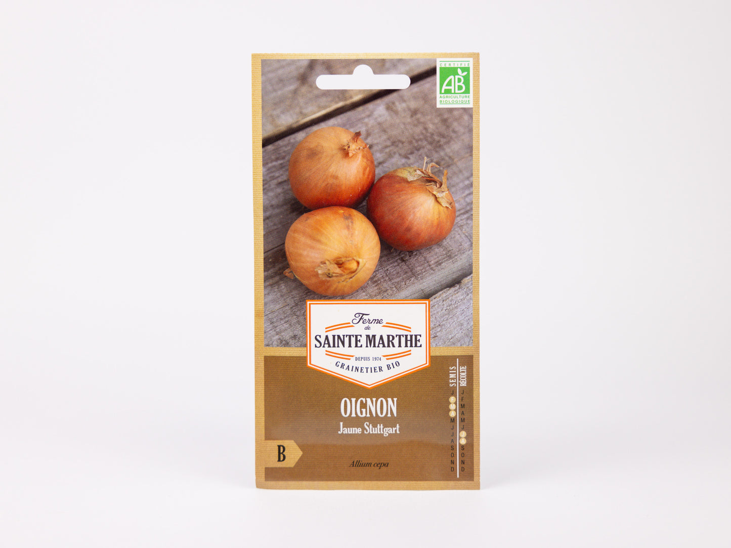 Stuttgart Rieser White Onion