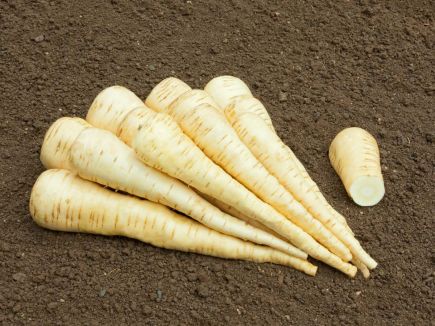 Parsnip - Aromata