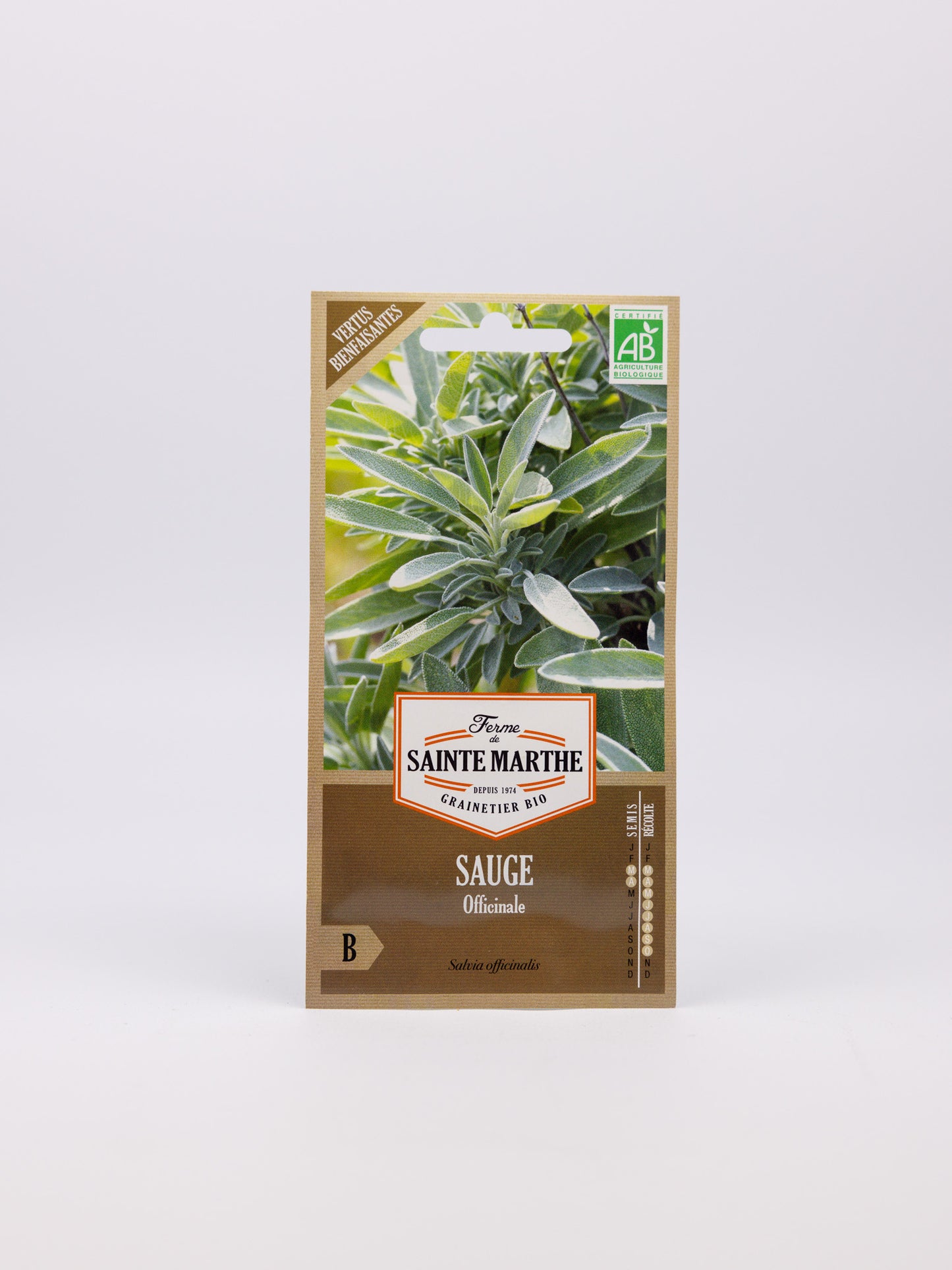 Sage