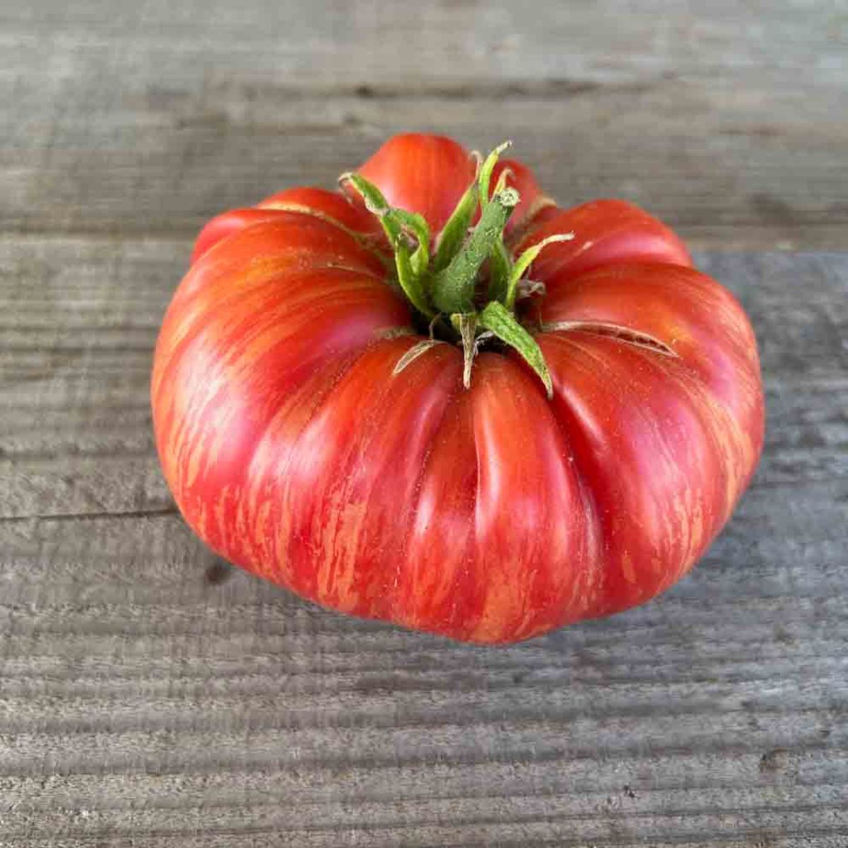 Tomato Pink Jazz