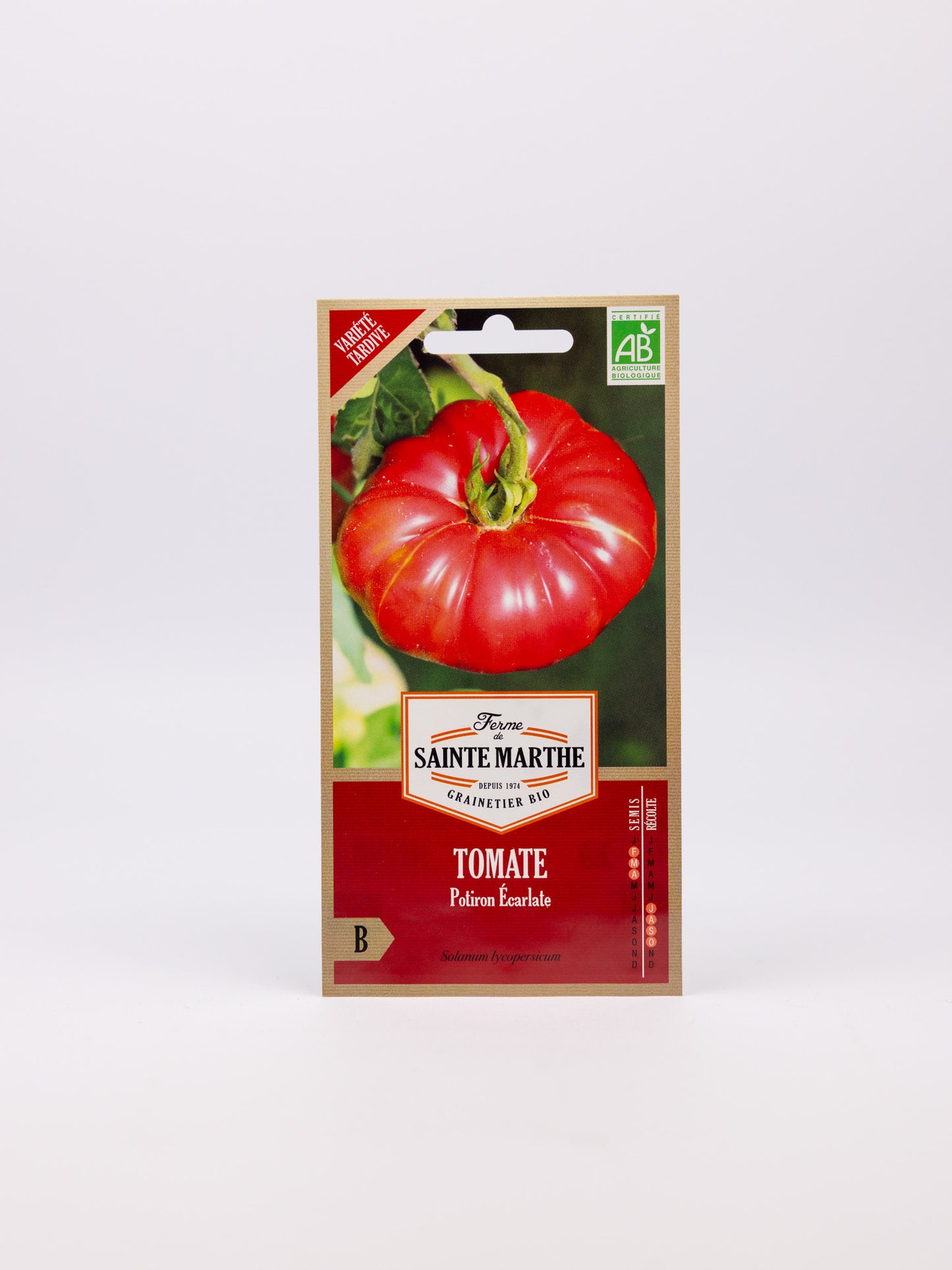 Tomato Scarlet Pumpkin