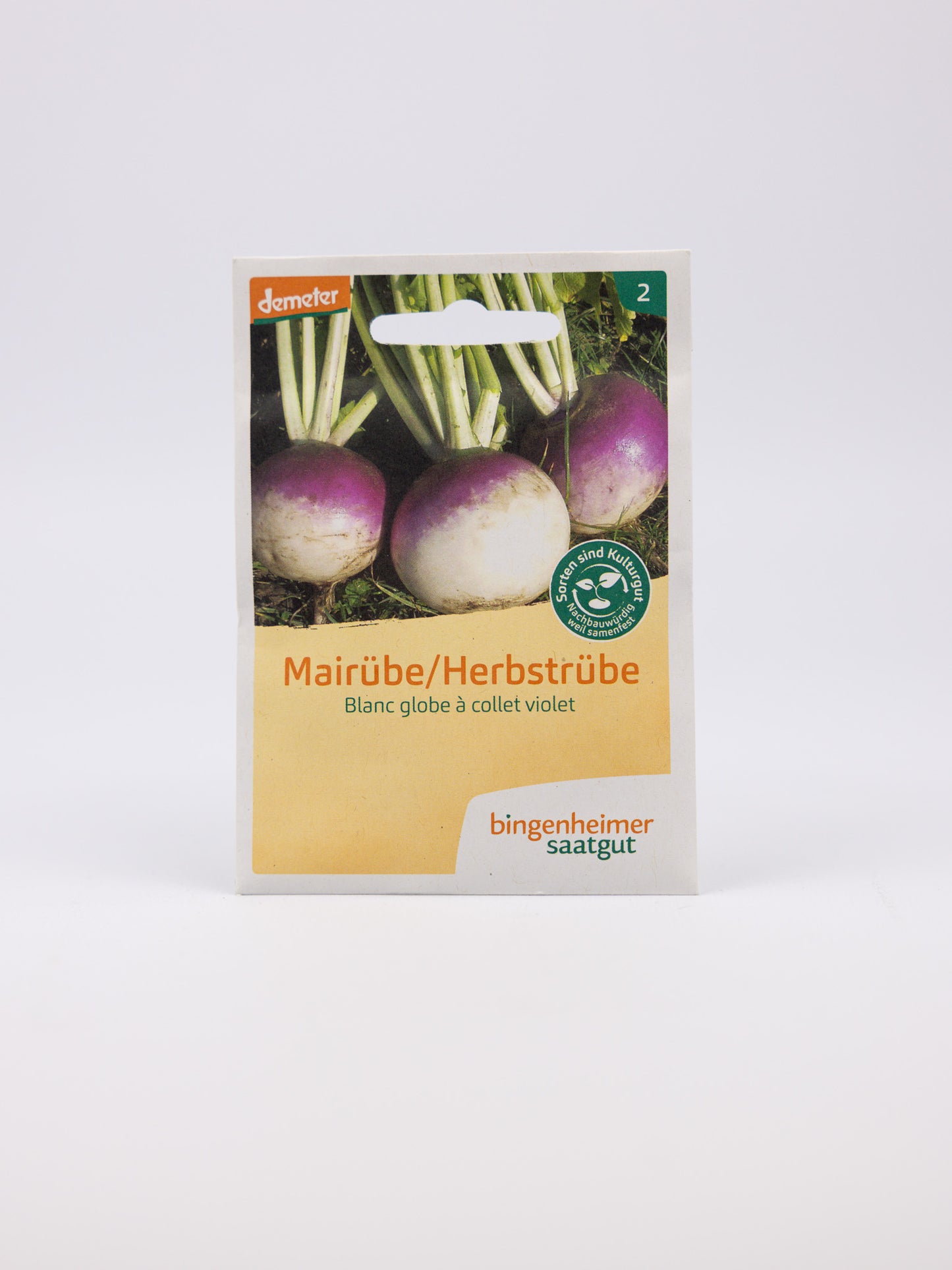 Turnip - Blanc globe a collet violet