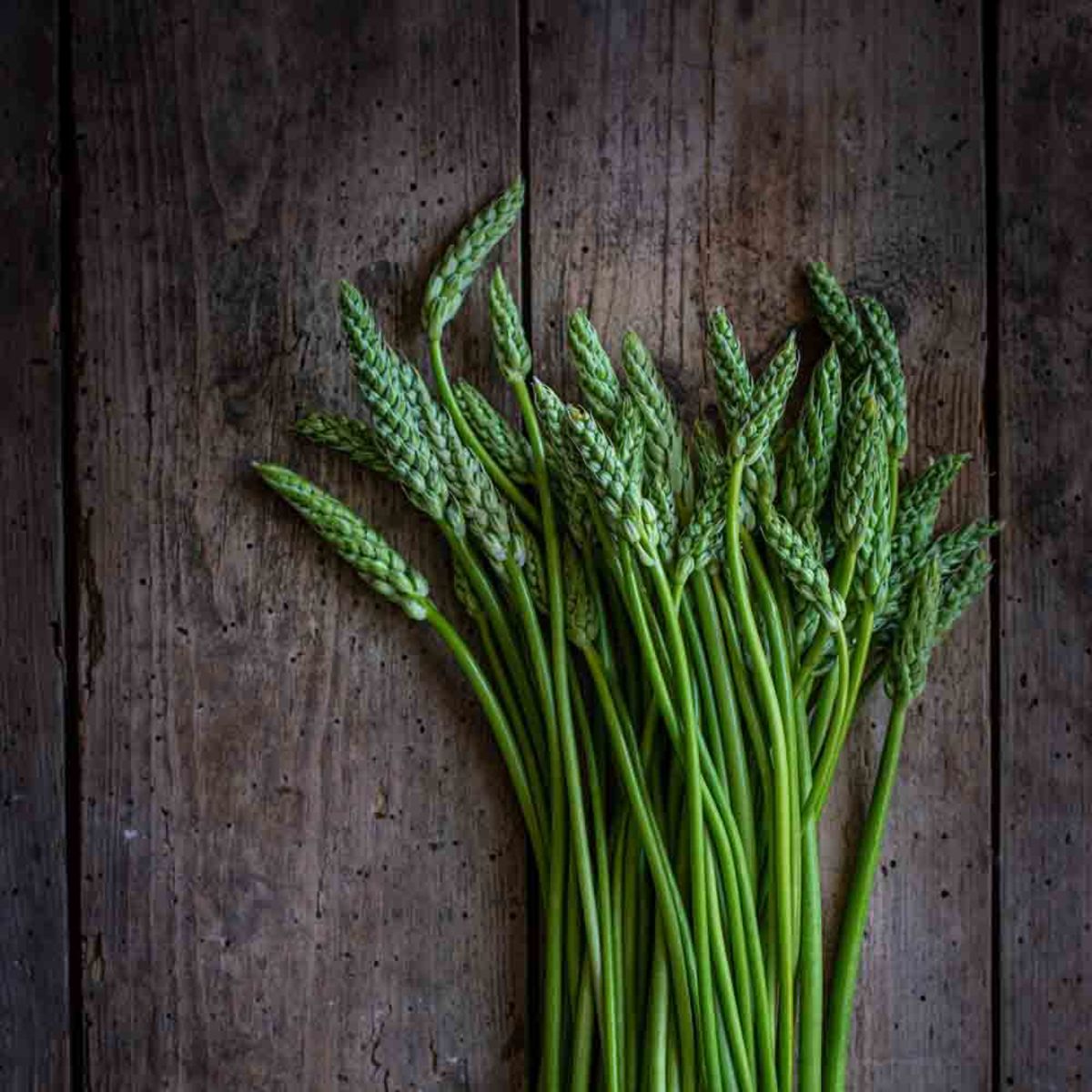 Wild Asparagus