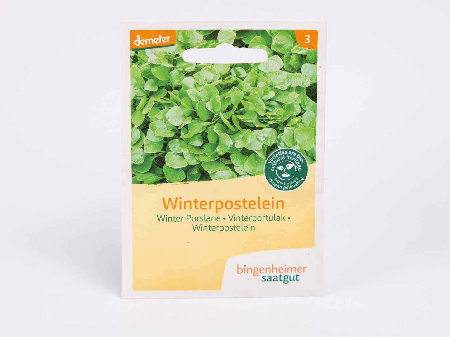 Winter Purslane