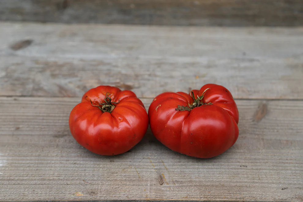 Tomato Beefstake