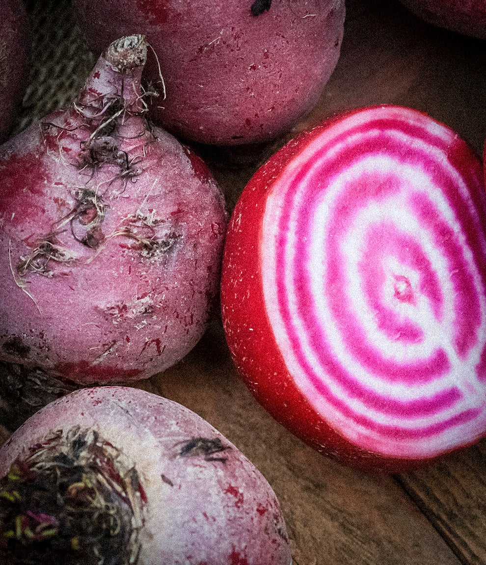 Chioggia Beetroot