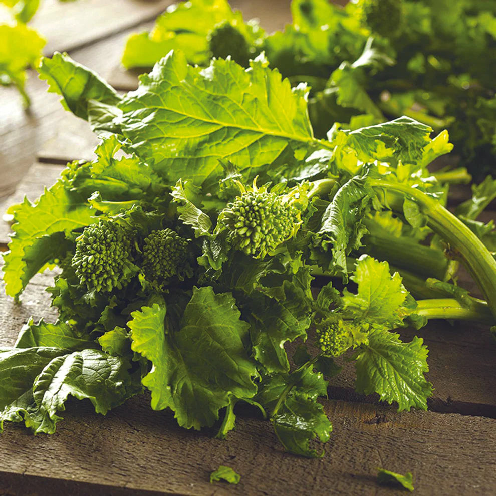 Broccoli (Shooting) - Sessantina