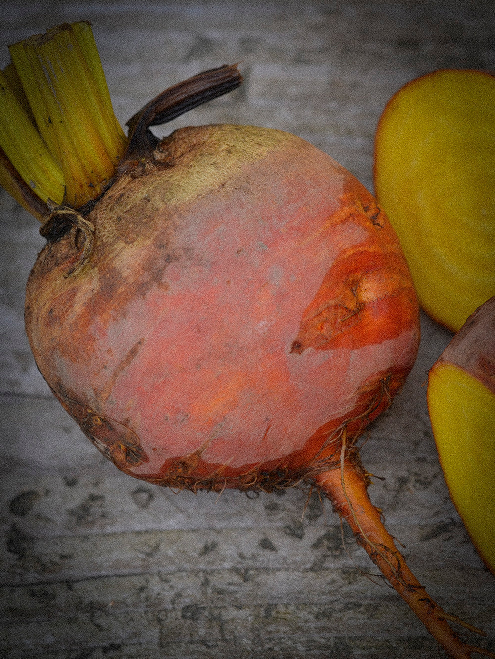 Burpee's Golden Beetroot