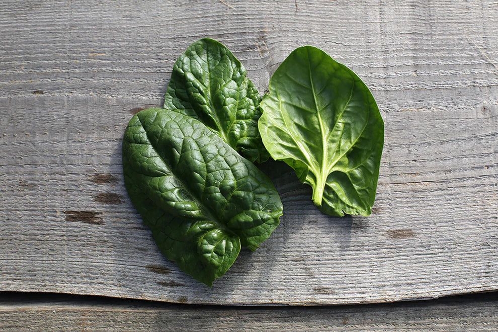 Matador Spinach