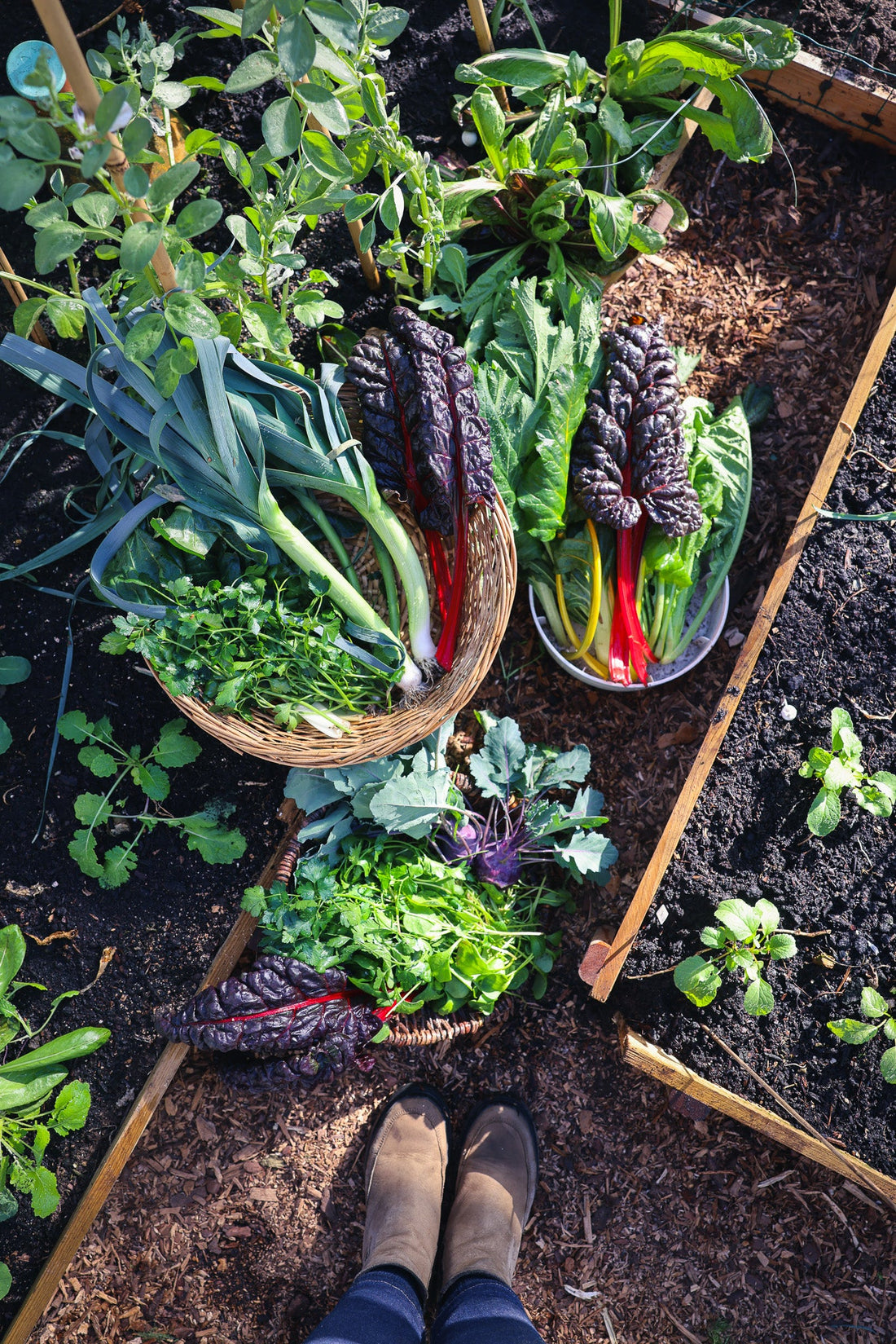 Urban Gardener's Journal - April tips