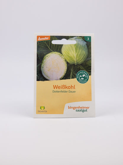 White Cabbage - Dottenfelder Dauer