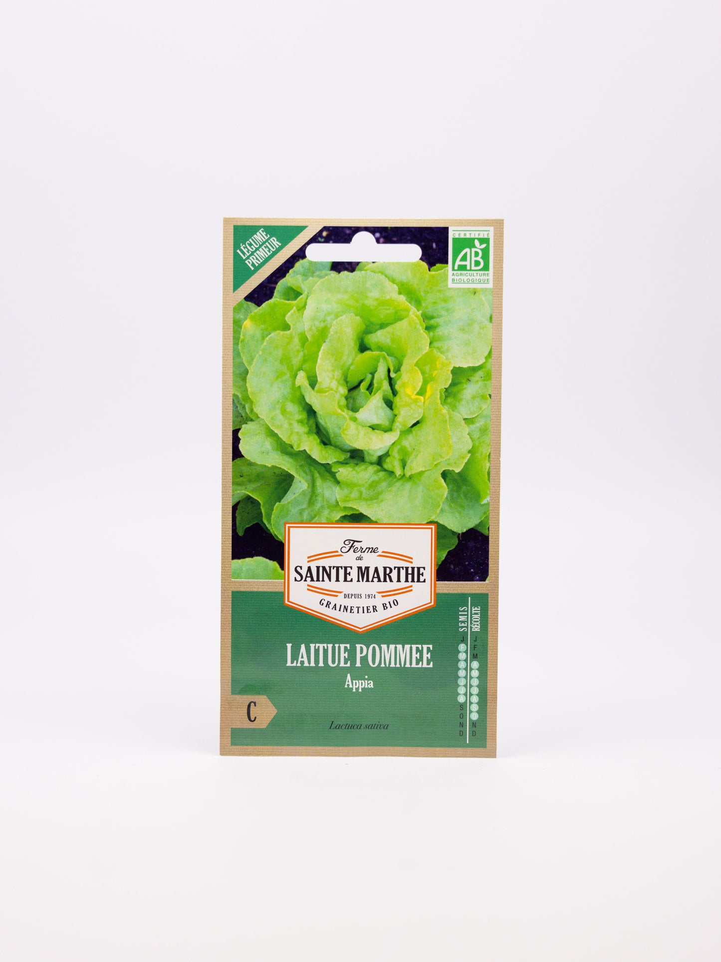 Lettuce Appia