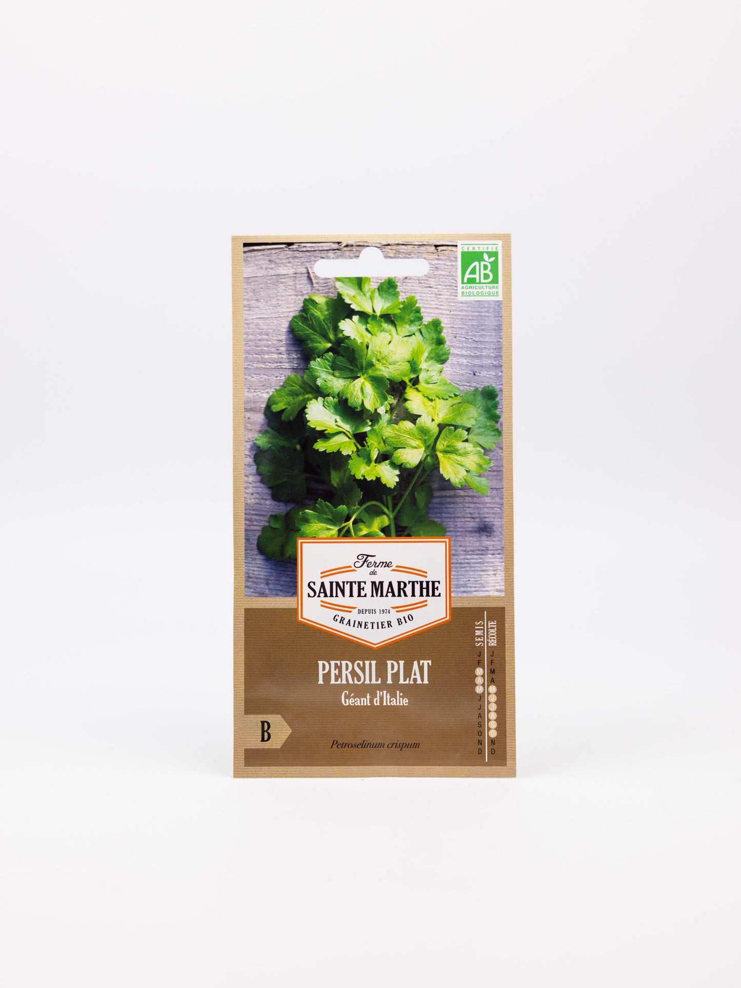 Parsley Giant Flat from Italy