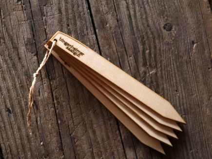 Set of 5 Pine Wood Planting Labels