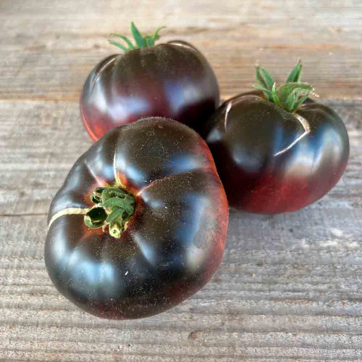 Tomato Black Beauty